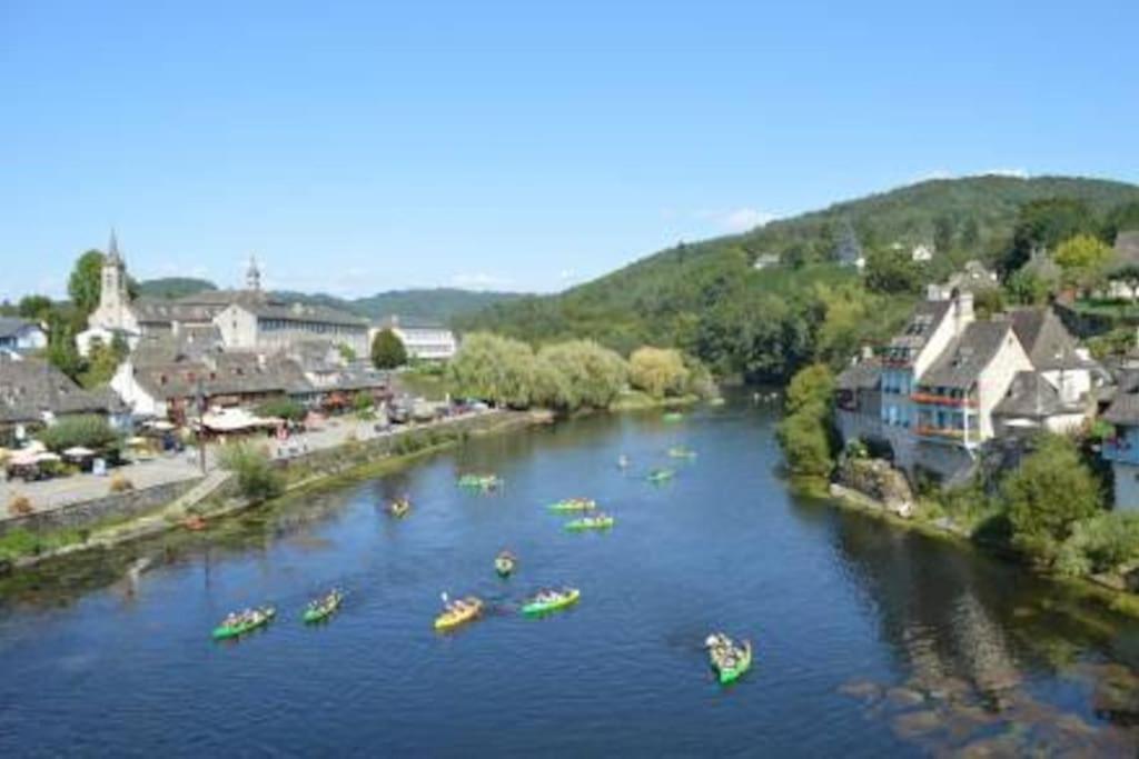 Maison En Pierre Sur Les Quais De La Dordogne Argentat Exterior photo